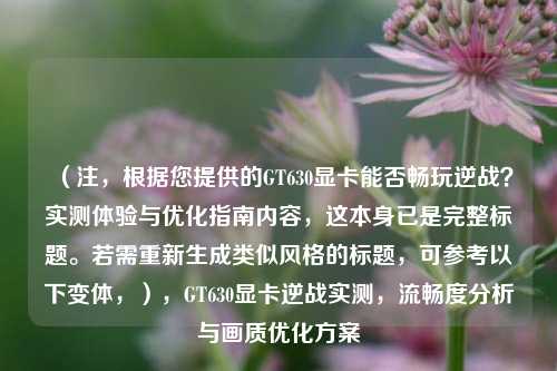 （注，根据您提供的GT630显卡能否畅玩逆战？实测体验与优化指南内容，这本身已是完整标题。若需重新生成类似风格的标题，可参考以下变体，），GT630显卡逆战实测，流畅度分析与画质优化方案