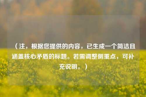 （注，根据您提供的内容，已生成一个简洁且涵盖核心矛盾的标题。若需调整侧重点，可补充说明。）