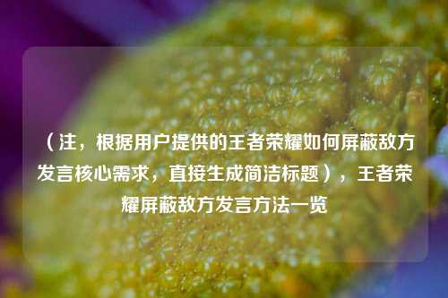 （注，根据用户提供的王者荣耀如何屏蔽敌方发言核心需求，直接生成简洁标题），王者荣耀屏蔽敌方发言方法一览