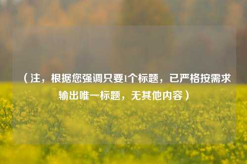 （注，根据您强调只要1个标题，已严格按需求输出唯一标题，无其他内容）