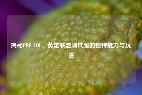 揭秘PBE LOL，英雄联盟测试服的独特魅力与玩法