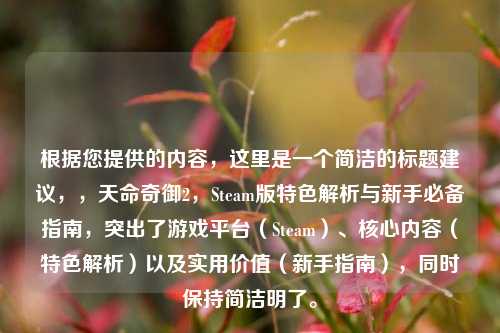 根据您提供的内容，这里是一个简洁的标题建议，，天命奇御2，Steam版特色解析与新手必备指南，突出了游戏平台（Steam）、核心内容（特色解析）以及实用价值（新手指南），同时保持简洁明了。