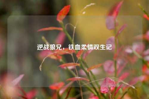 逆战狼兄，铁血柔情双生记