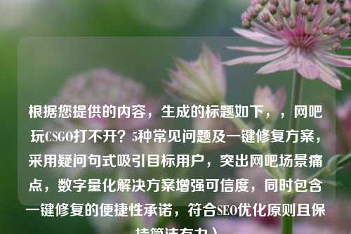 根据您提供的内容，生成的标题如下，，网吧玩CSGO打不开？5种常见问题及一键修复方案，采用疑问句式吸引目标用户，突出网吧场景痛点，数字量化解决方案增强可信度，同时包含一键修复的便捷性承诺，符合SEO优化原则且保持简洁有力）