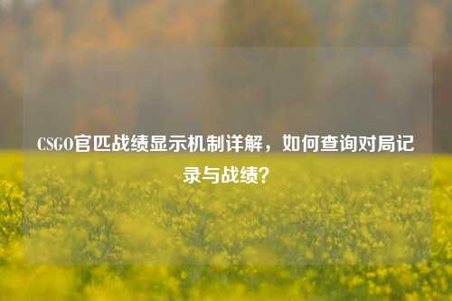 CSGO官匹战绩显示机制详解，如何查询对局记录与战绩？