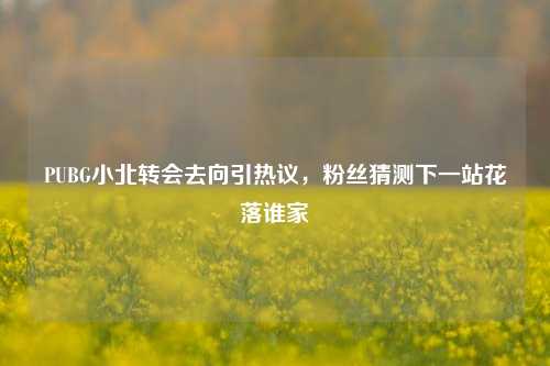 PUBG小北转会去向引热议，粉丝猜测下一站花落谁家