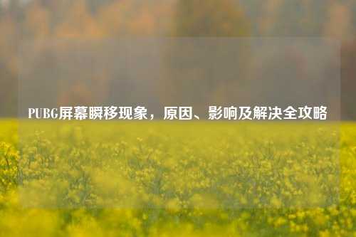 PUBG屏幕瞬移现象，原因、影响及解决全攻略