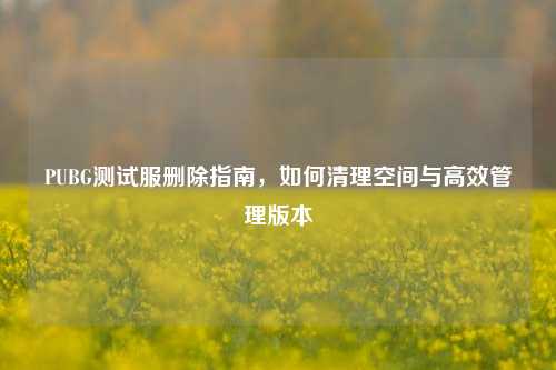 PUBG测试服删除指南，如何清理空间与高效管理版本