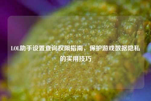 LOL助手设置查询权限指南，保护游戏数据隐私的实用技巧