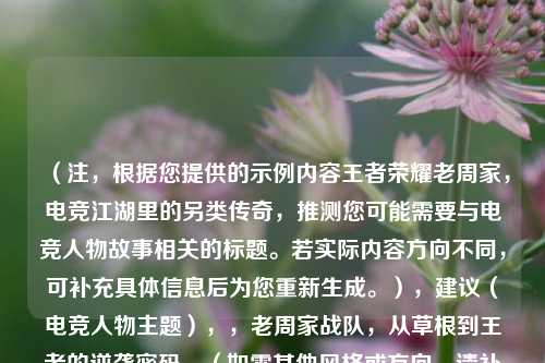 （注，根据您提供的示例内容王者荣耀老周家，电竞江湖里的另类传奇，推测您可能需要与电竞人物故事相关的标题。若实际内容方向不同，可补充具体信息后为您重新生成。），建议（电竞人物主题），，老周家战队，从草根到王者的逆袭密码，（如需其他风格或方向，请补充内容关键词或背景描述）