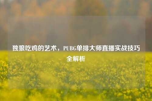 独狼吃鸡的艺术，PUBG单排大师直播实战技巧全解析