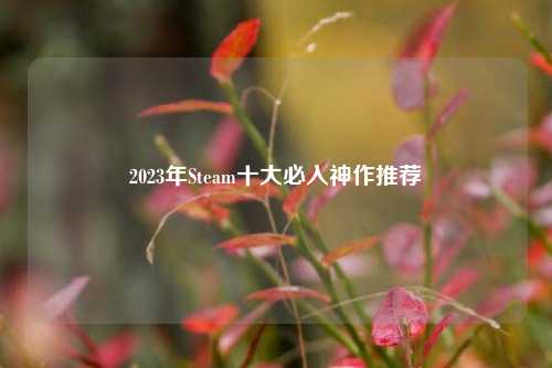 2023年Steam十大必入神作推荐
