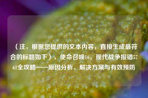 （注，根据您提供的文本内容，直接生成最符合的标题如下），使命召唤16，现代战争报错5761全攻略——原因分析、解决方案与有效预防