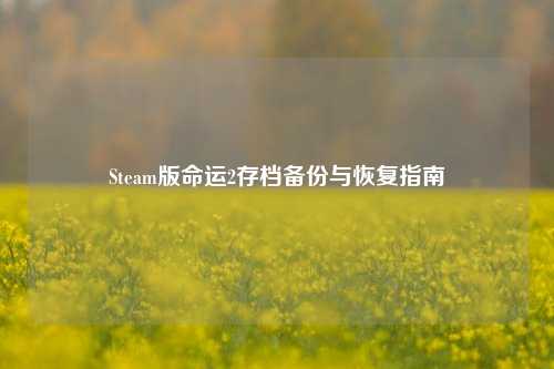 Steam版命运2存档备份与恢复指南