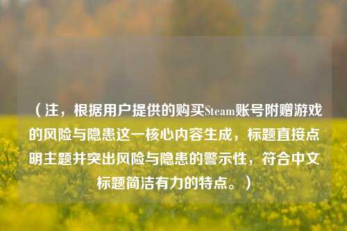 （注，根据用户提供的购买Steam账号附赠游戏的风险与隐患这一核心内容生成，标题直接点明主题并突出风险与隐患的警示性，符合中文标题简洁有力的特点。）