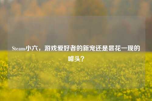Steam小六，游戏爱好者的新宠还是昙花一现的噱头？