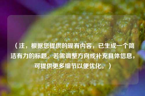 （注，根据您提供的现有内容，已生成一个简洁有力的标题。若需调整方向或补充具体信息，可提供更多细节以便优化。）