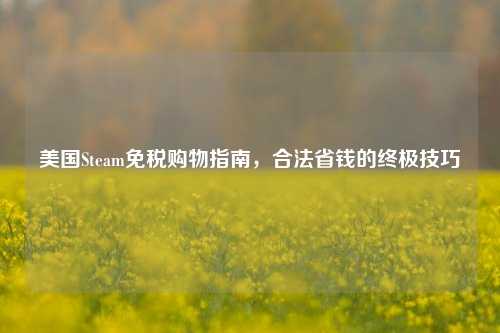 美国Steam免税购物指南，合法省钱的终极技巧