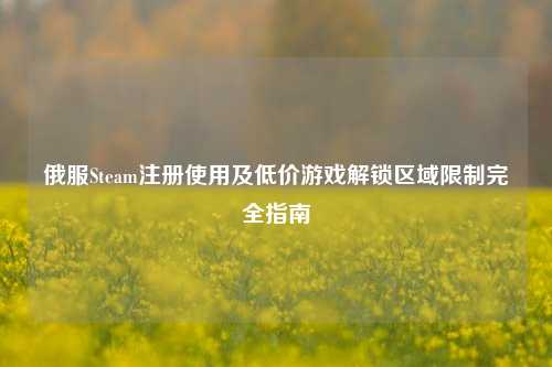 俄服Steam注册使用及低价游戏解锁区域限制完全指南