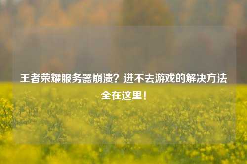 王者荣耀服务器崩溃？进不去游戏的解决方法全在这里！