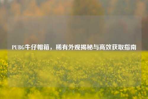 PUBG牛仔帽箱，稀有外观揭秘与高效获取指南
