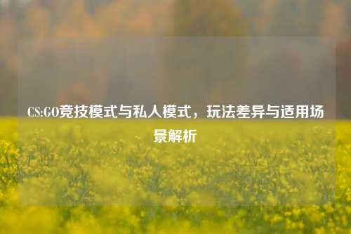CS:GO竞技模式与私人模式,玩法差异与适用场景解析