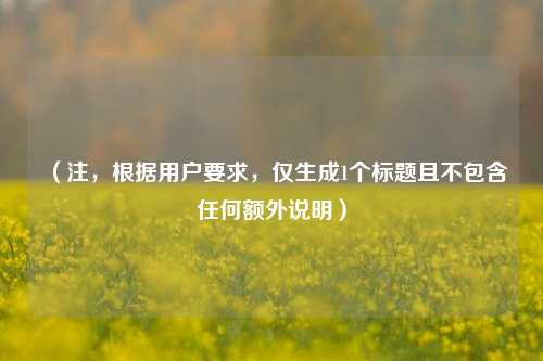 （注，根据用户要求，仅生成1个标题且不包含任何额外说明）