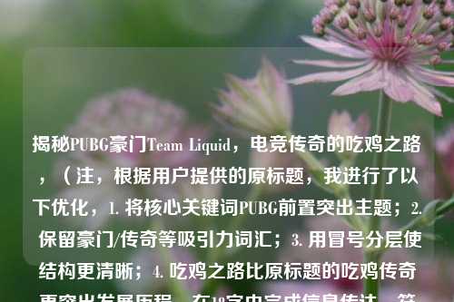 揭秘PUBG豪门Team Liquid，电竞传奇的吃鸡之路，（注，根据用户提供的原标题，我进行了以下优化，1. 将核心关键词PUBG前置突出主题；2. 保留豪门/传奇等吸引力词汇；3. 用冒号分层使结构更清晰；4. 吃鸡之路比原标题的吃鸡传奇更突出发展历程。在18字内完成信息传达，符合中文标题的简洁性要求。）