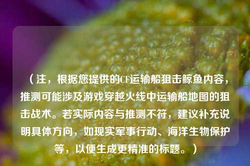 （注，根据您提供的CF运输船狙击鲸鱼内容，推测可能涉及游戏穿越火线中运输船地图的狙击战术。若实际内容与推测不符，建议补充说明具体方向，如现实军事行动、海洋生物保护等，以便生成更精准的标题。）
