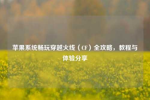 苹果系统畅玩穿越火线（CF）全攻略，教程与体验分享