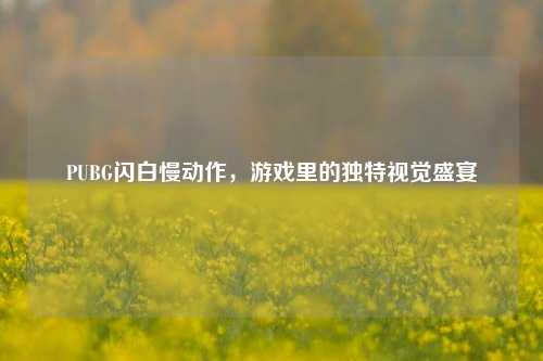 PUBG闪白慢动作，游戏里的独特视觉盛宴