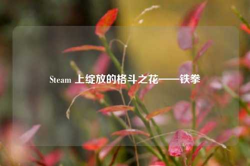 Steam 上绽放的格斗之花——铁拳