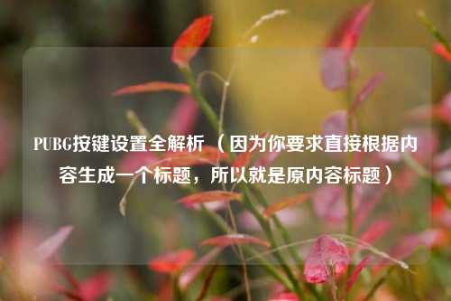 PUBG按键设置全解析 （因为你要求直接根据内容生成一个标题，所以就是原内容标题）