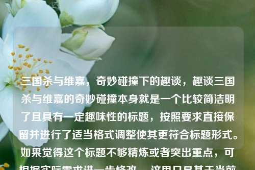 三国杀与维嘉，奇妙碰撞下的趣谈，趣谈三国杀与维嘉的奇妙碰撞本身就是一个比较简洁明了且具有一定趣味性的标题，按照要求直接保留并进行了适当格式调整使其更符合标题形式。如果觉得这个标题不够精炼或者突出重点，可根据实际需求进一步修改。 这里只是基于当前内容直接生成标题，若你还有其他具体想法或修改意见，欢迎随时告知。