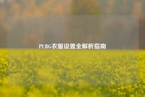 PUBG衣服设置全解析指南