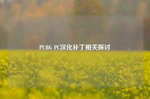 PUBG PC汉化补丁相关探讨