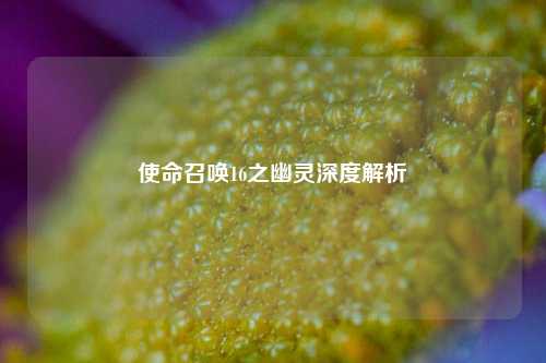 使命召唤16之幽灵深度解析