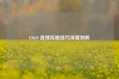 CSGO 连续压枪技巧深度剖析