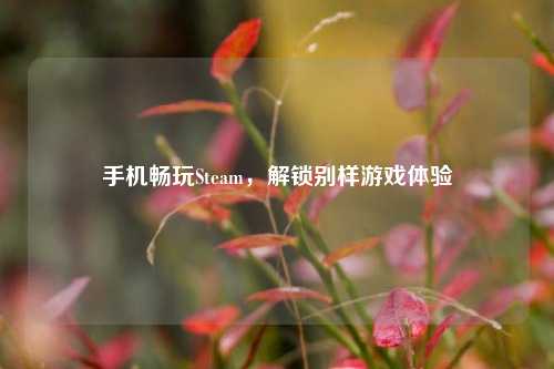 手机畅玩Steam，解锁别样游戏体验