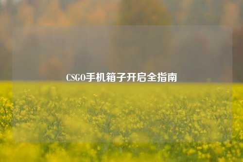CSGO手机箱子开启全指南