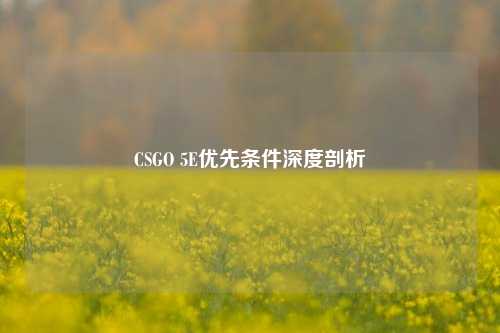 CSGO 5E优先条件深度剖析