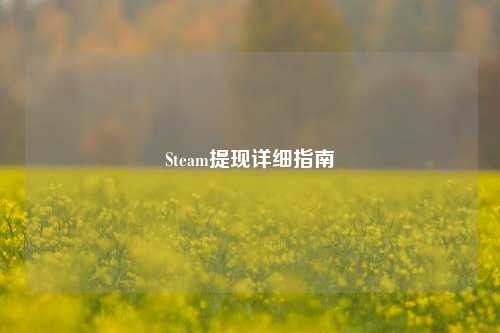 Steam提现详细指南