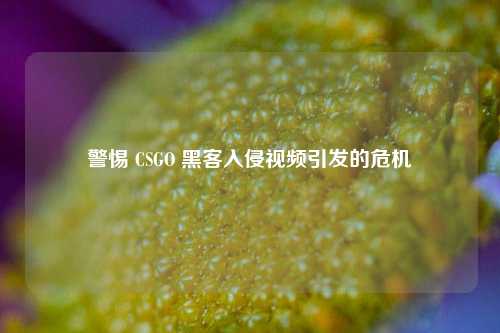 警惕 CSGO 黑客入侵视频引发的危机