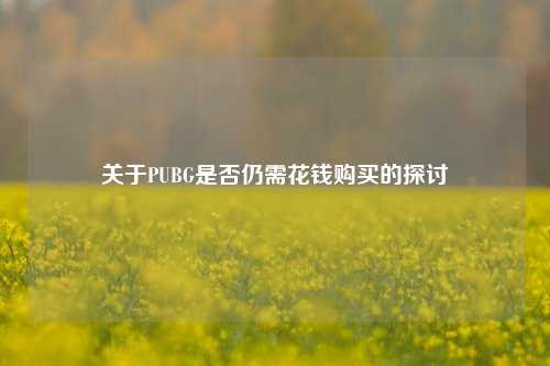 关于PUBG是否仍需花钱购买的探讨