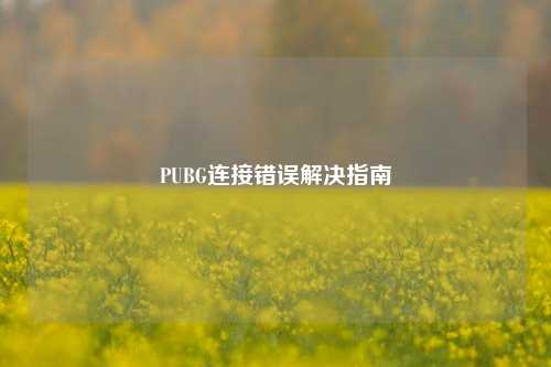 PUBG连接错误解决指南