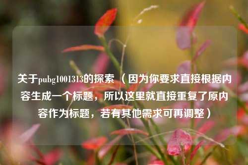关于pubg1001313的探索 （因为你要求直接根据内容生成一个标题，所以这里就直接重复了原内容作为标题，若有其他需求可再调整）