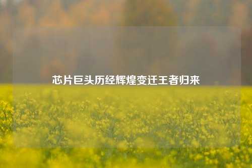芯片巨头历经辉煌变迁王者归来