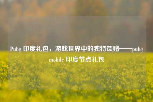Pubg 印度礼包，游戏世界中的独特馈赠——pubgmobile 印度节点礼包