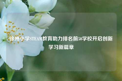 徐州小学STEAM教育助力排名前50学校开启创新学习新篇章