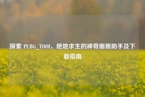 探索 PUBG_TOOI,绝地求生的神奇画质助手及下载指南
